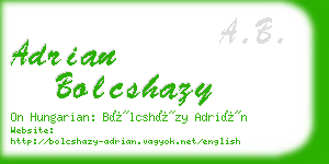 adrian bolcshazy business card